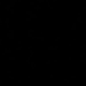 Meet your Posher, Armine